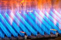 Bowgreen gas fired boilers